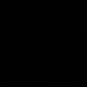 Meet your Posher, Malik